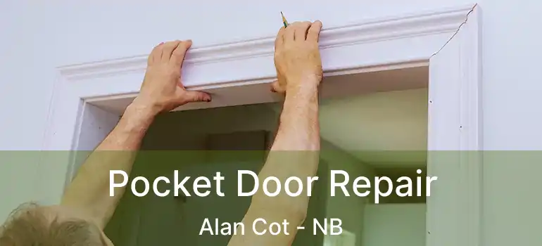  Pocket Door Repair Alan Cot - NB