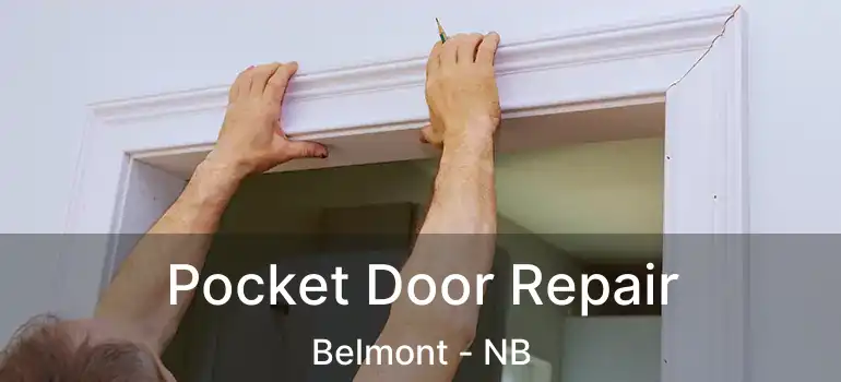  Pocket Door Repair Belmont - NB