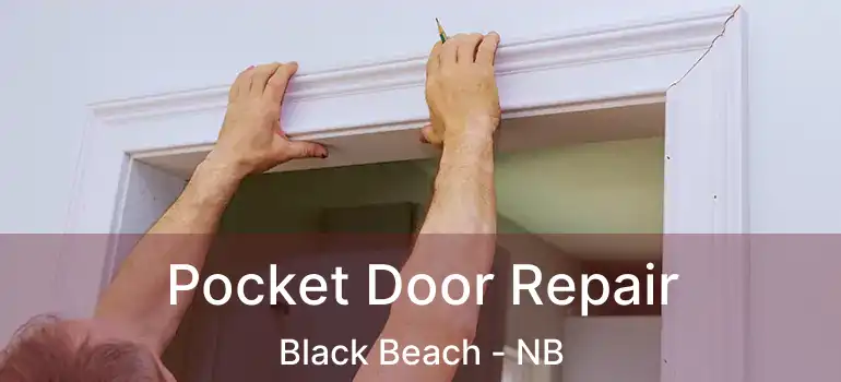  Pocket Door Repair Black Beach - NB
