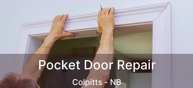  Pocket Door Repair Colpitts - NB