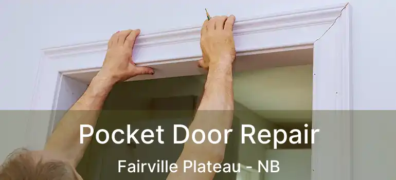  Pocket Door Repair Fairville Plateau - NB