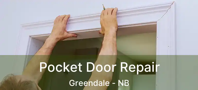  Pocket Door Repair Greendale - NB