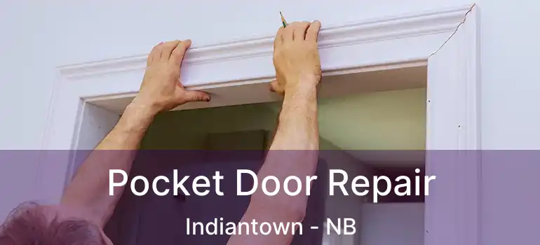  Pocket Door Repair Indiantown - NB