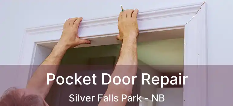  Pocket Door Repair Silver Falls Park - NB