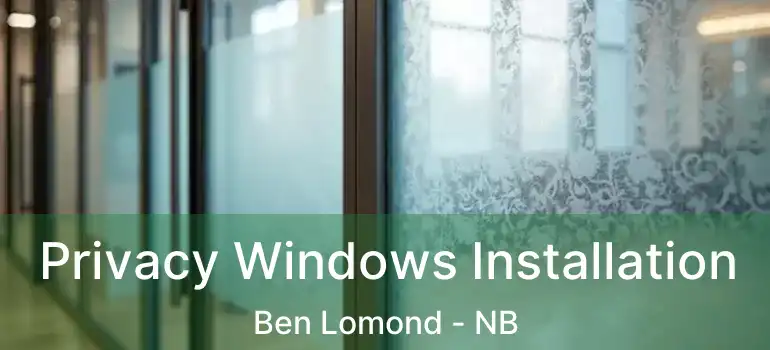  Privacy Windows Installation Ben Lomond - NB