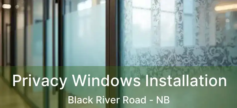  Privacy Windows Installation Black River Road - NB