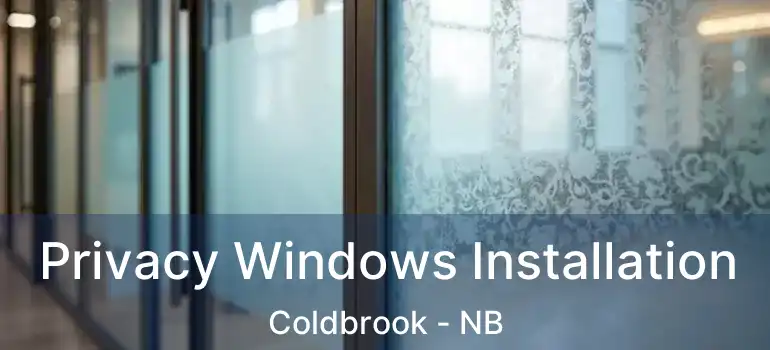  Privacy Windows Installation Coldbrook - NB