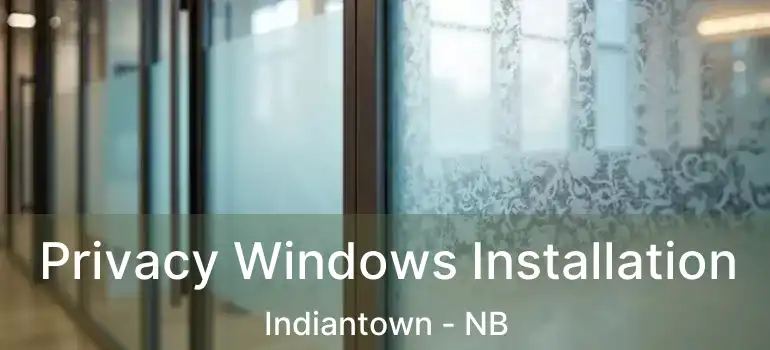  Privacy Windows Installation Indiantown - NB