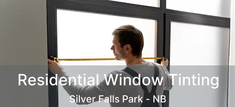  Residential Window Tinting Silver Falls Park - NB