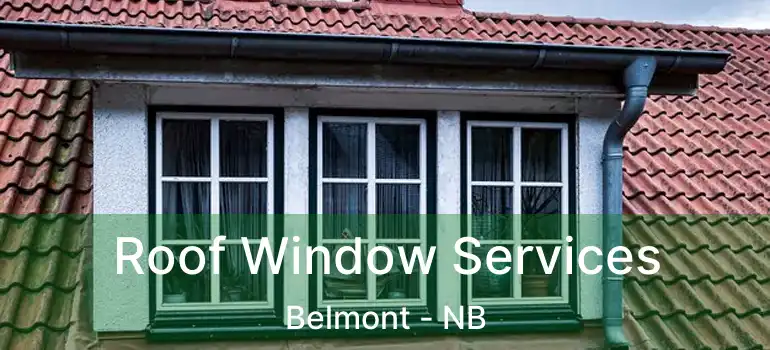  Roof Window Services Belmont - NB
