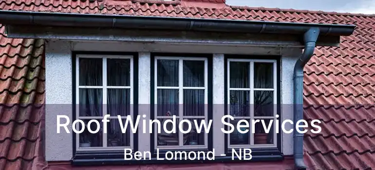  Roof Window Services Ben Lomond - NB
