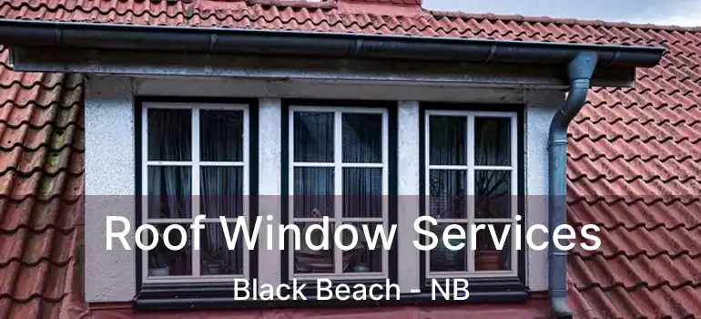  Roof Window Services Black Beach - NB