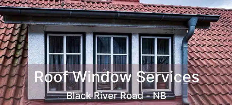  Roof Window Services Black River Road - NB
