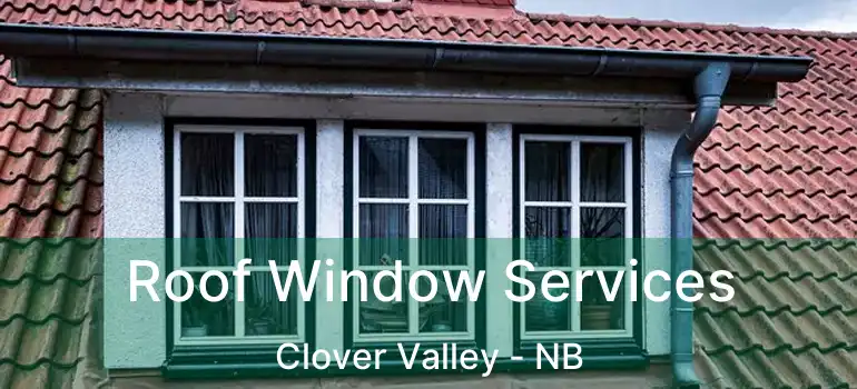  Roof Window Services Clover Valley - NB