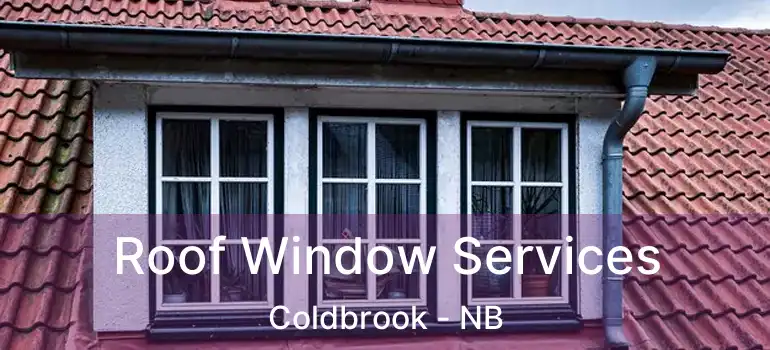  Roof Window Services Coldbrook - NB
