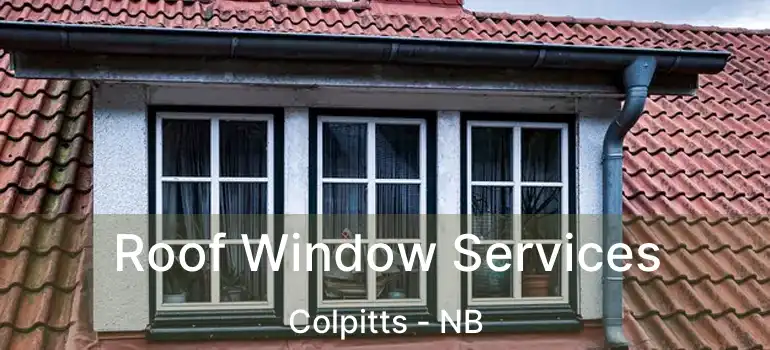  Roof Window Services Colpitts - NB