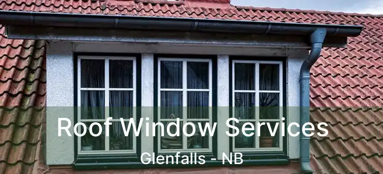  Roof Window Services Glenfalls - NB