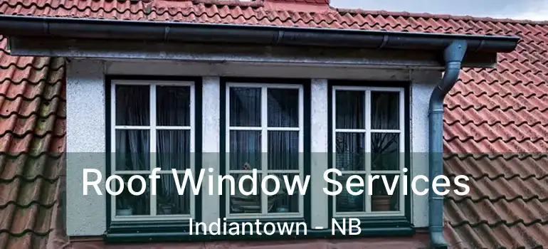  Roof Window Services Indiantown - NB