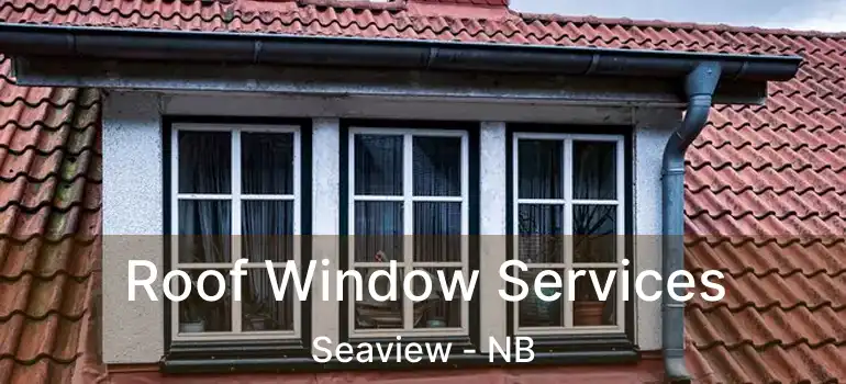  Roof Window Services Seaview - NB
