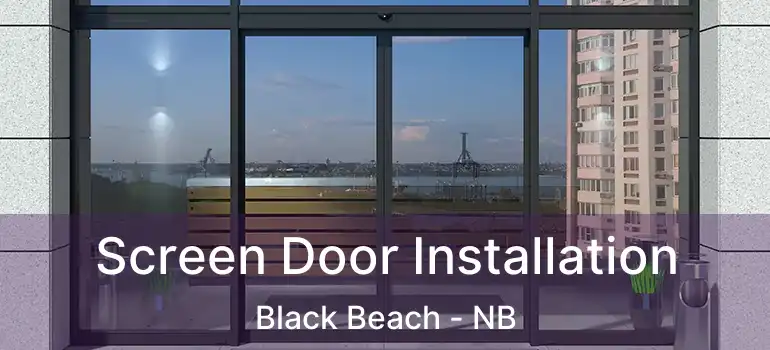  Screen Door Installation Black Beach - NB