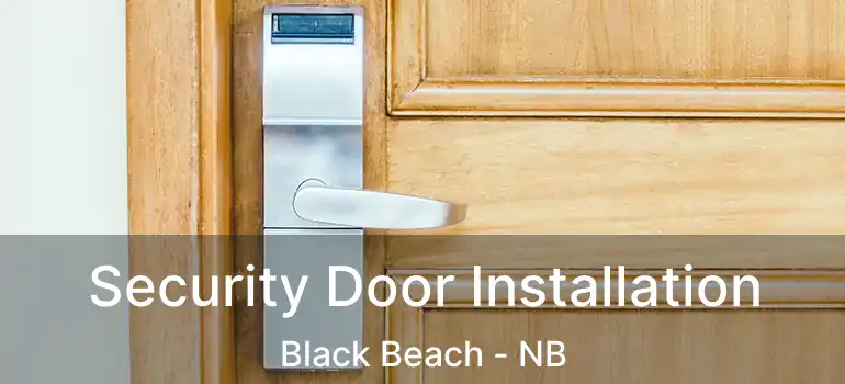  Security Door Installation Black Beach - NB