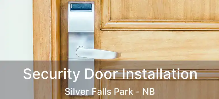  Security Door Installation Silver Falls Park - NB