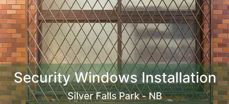  Security Windows Installation Silver Falls Park - NB