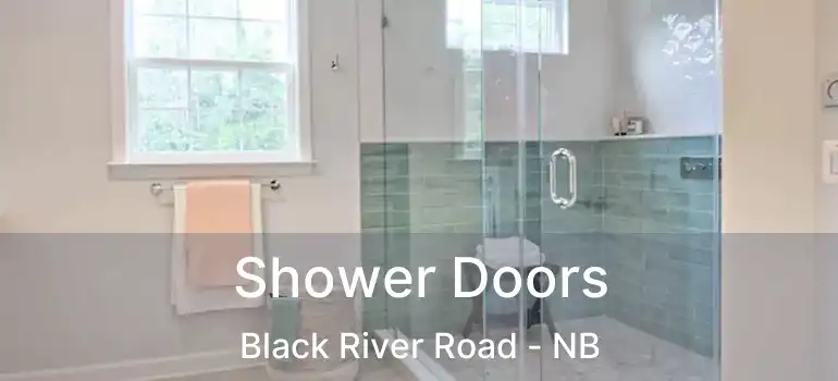  Shower Doors Black River Road - NB