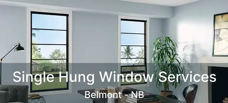  Single Hung Window Services Belmont - NB