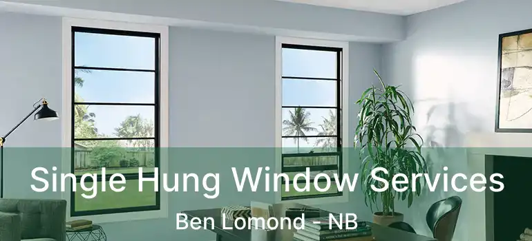  Single Hung Window Services Ben Lomond - NB