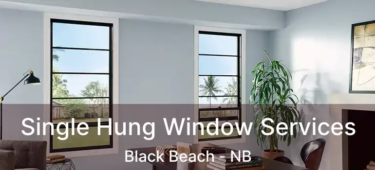  Single Hung Window Services Black Beach - NB