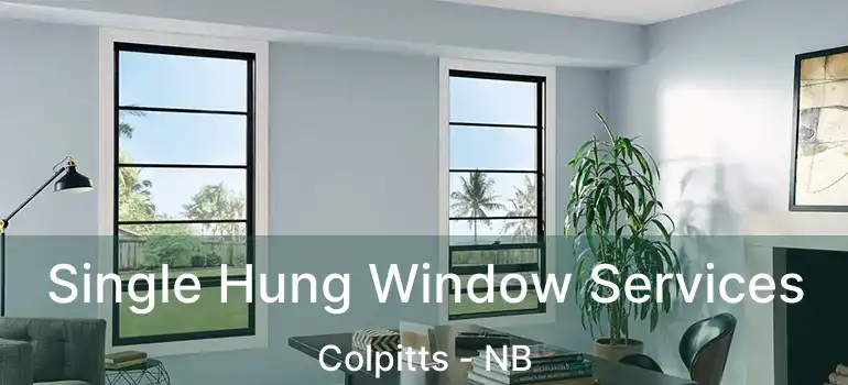  Single Hung Window Services Colpitts - NB