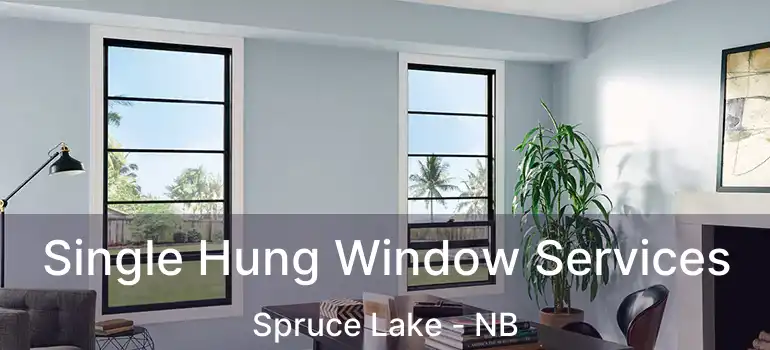  Single Hung Window Services Spruce Lake - NB
