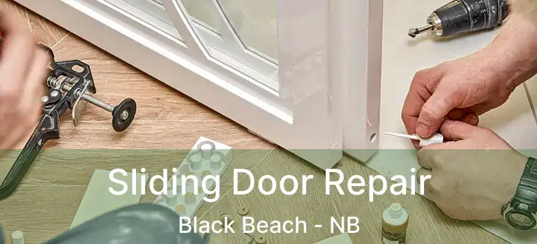  Sliding Door Repair Black Beach - NB