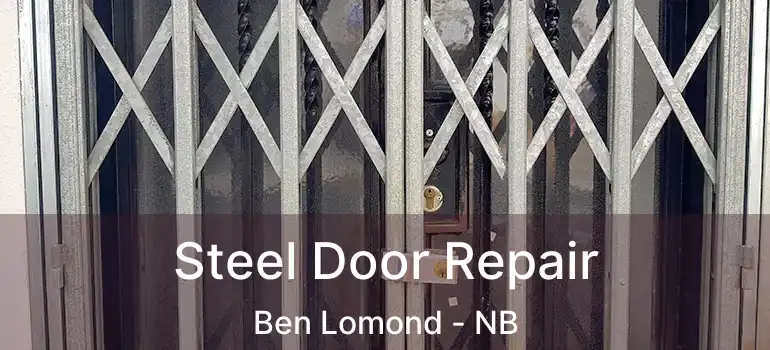  Steel Door Repair Ben Lomond - NB