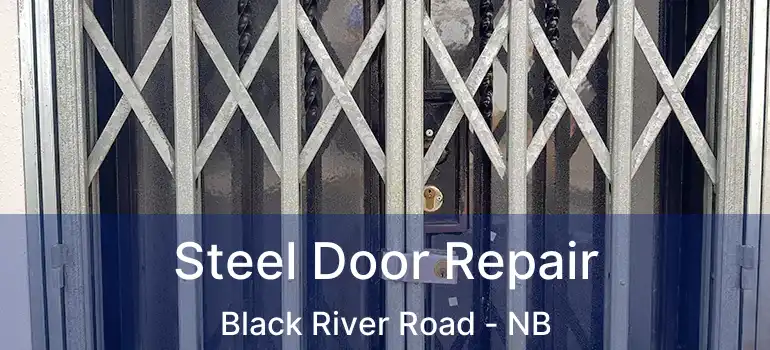  Steel Door Repair Black River Road - NB