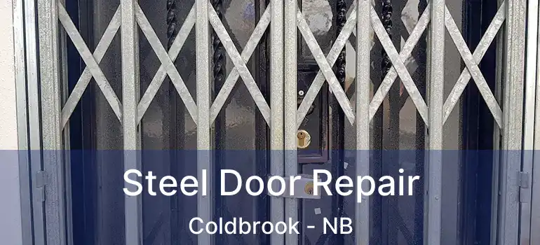 Steel Door Repair Coldbrook - NB
