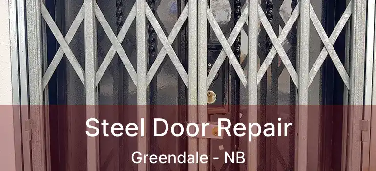  Steel Door Repair Greendale - NB