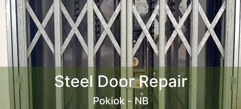  Steel Door Repair Pokiok - NB
