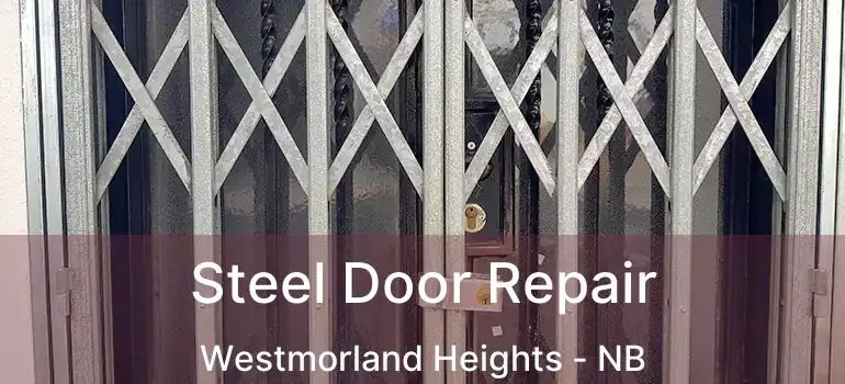  Steel Door Repair Westmorland Heights - NB