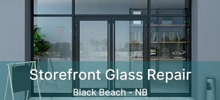  Storefront Glass Repair Black Beach - NB