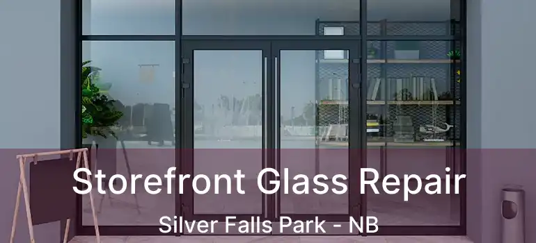  Storefront Glass Repair Silver Falls Park - NB