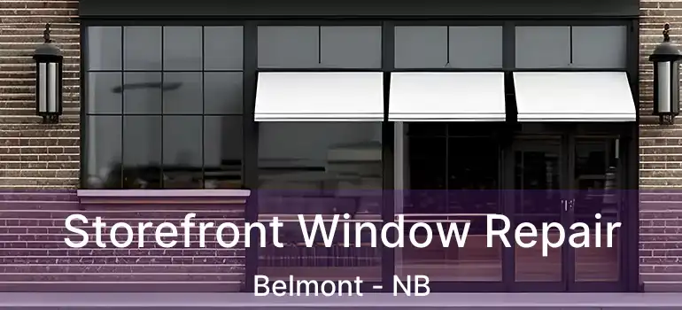  Storefront Window Repair Belmont - NB