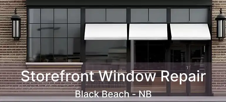  Storefront Window Repair Black Beach - NB
