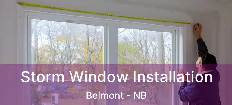 Storm Window Installation Belmont - NB