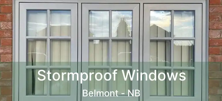  Stormproof Windows Belmont - NB