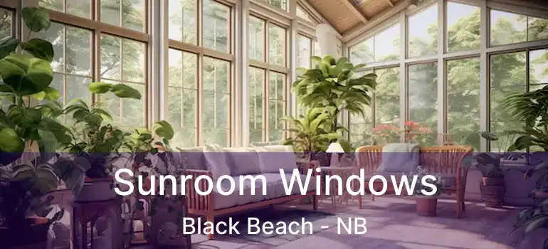  Sunroom Windows Black Beach - NB