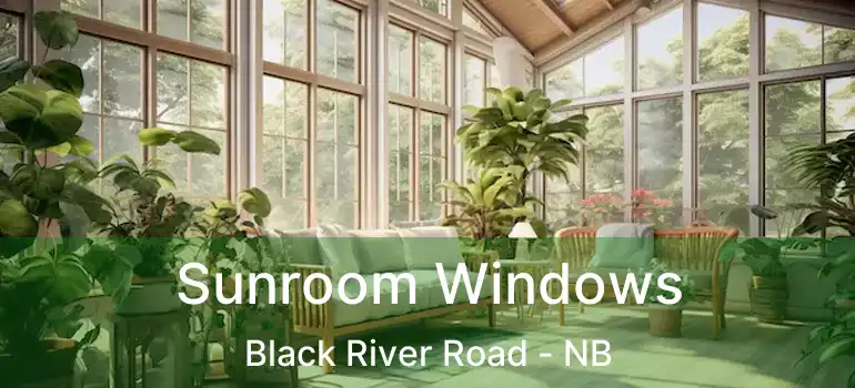  Sunroom Windows Black River Road - NB