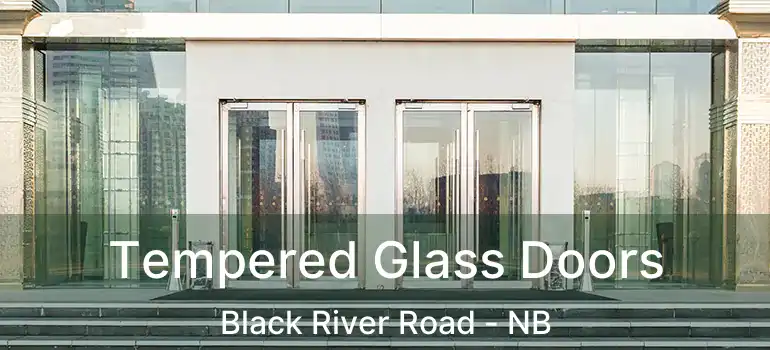  Tempered Glass Doors Black River Road - NB