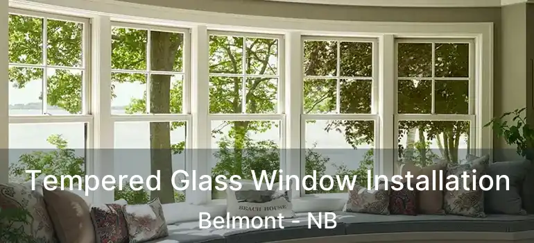  Tempered Glass Window Installation Belmont - NB